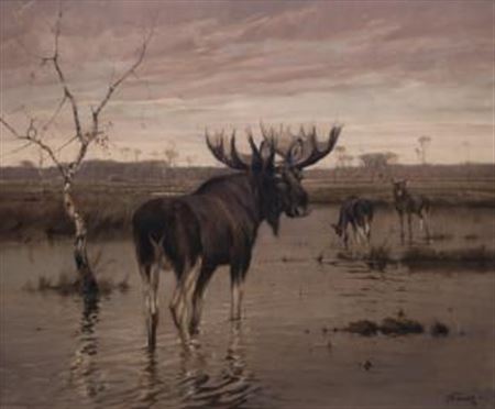 Waterscape with resting moose in autumn