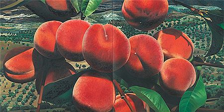 ”(F XXXVIII)”. 1997 (diptych)