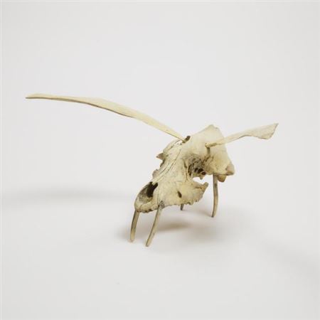 FLYING CREATURE