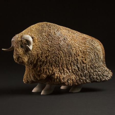 MUSK OX