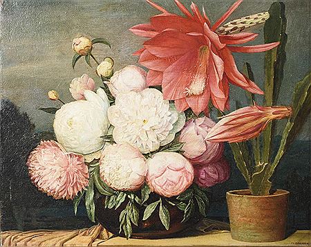 Still life with Christmas cactus and peonies