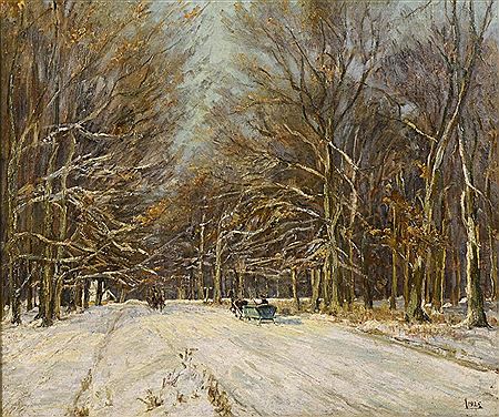 Winter Forest