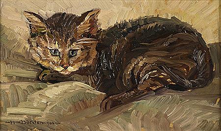Young kitten