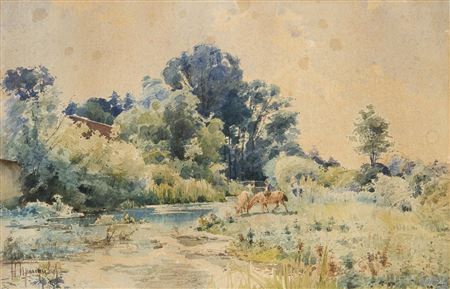 Summer river landscape