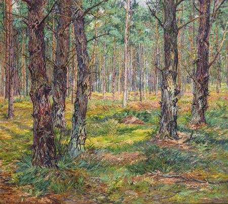 Pine forest