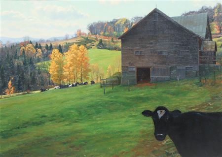 "Curious Bovine"