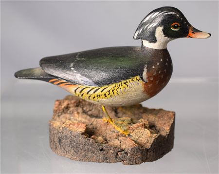 MINIATURE DUCK