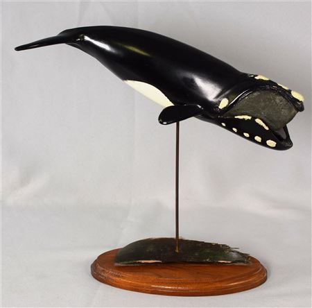 BOWHEAD WHALE