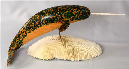 NAHWAL WHALE