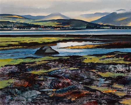 SPRING, CARLINGFORD LOUGH, COUNTY LOUTH, 1982