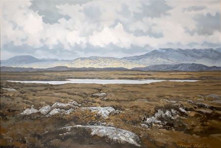 THE OLD BOG ROAD, NEAR CLIFDEN, CONNEMARA, COUNTY GALWAY
