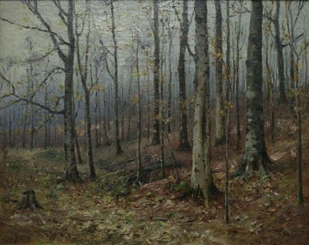 Late Autumn Woods