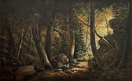 Light Through the Trees