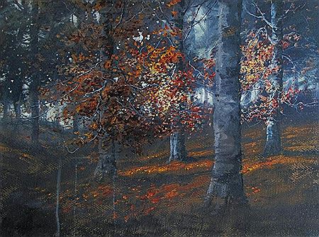 Autumn Interior Woods