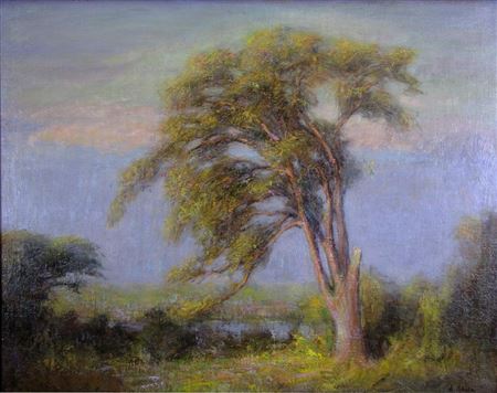 Pond