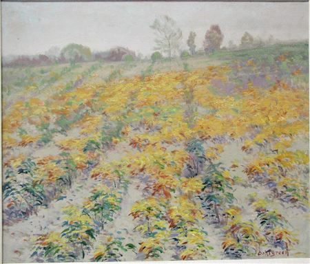 "Sassafras In Autumn"