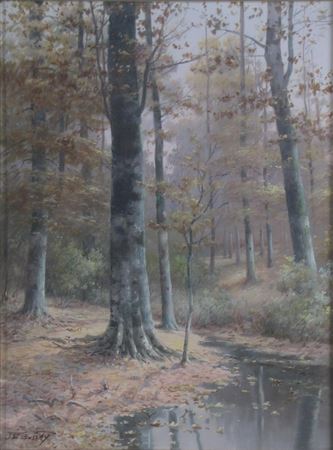Autumn Beeches