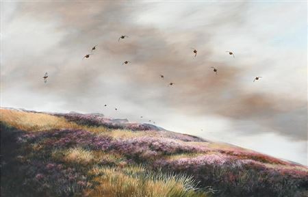 Grouse in flight over the moor