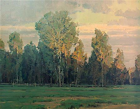 Evening Cottonwoods