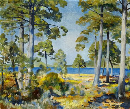 "Sommer am See"