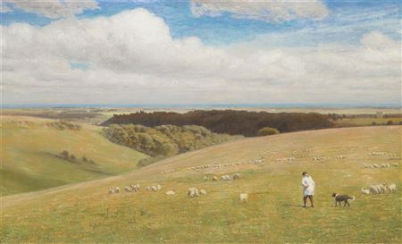 On the Sussex Downs