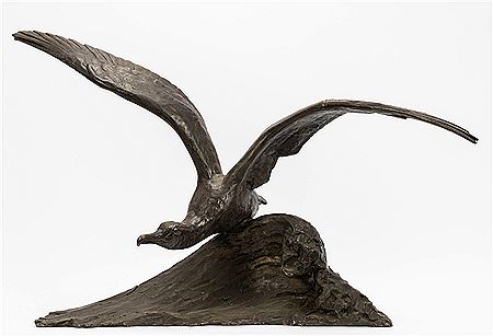 Bird in Flight