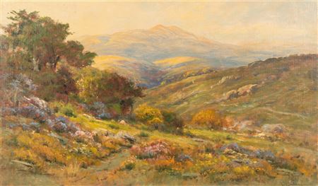 Flower Fields Landscape