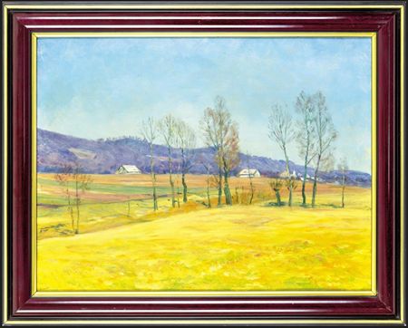 Village in the fields