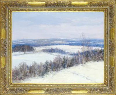 Winter mood from the clearing