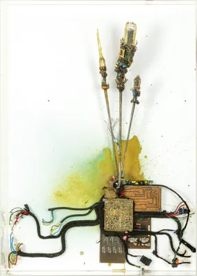 Elecronika Viralis
