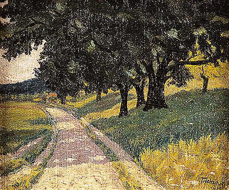Weg nach Ahrenshoop