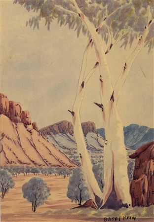 Ghost Gums