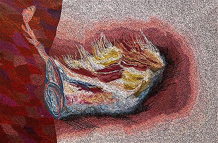 Wadjarri - Dillybag