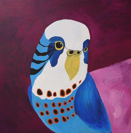 "Budgie Dreaming"