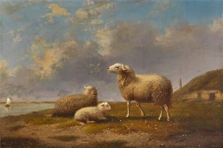 Grazing sheep