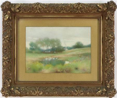 Pastural landscape