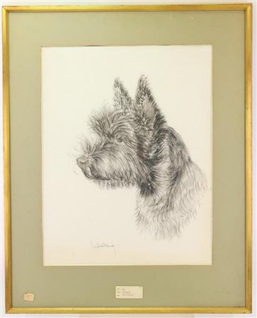 "Dog"