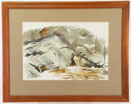 Stony landscape