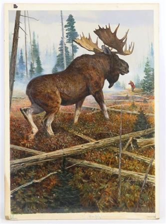 Outdoor Life Dec '59