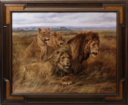 Lions of the savannah