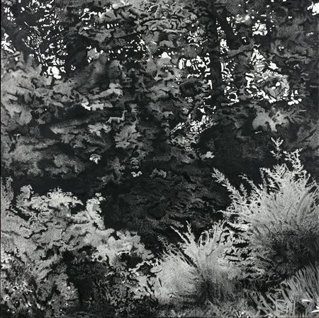 La fuite du côté de Barbizon, You'll find it here, at the end of the meadow, along the trees, on the other side of the ferns. You can't go wrong