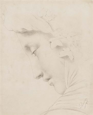 Ancient Profile [1893]