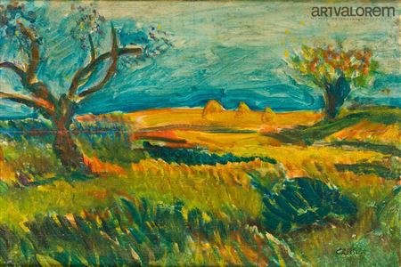 Provence landscape