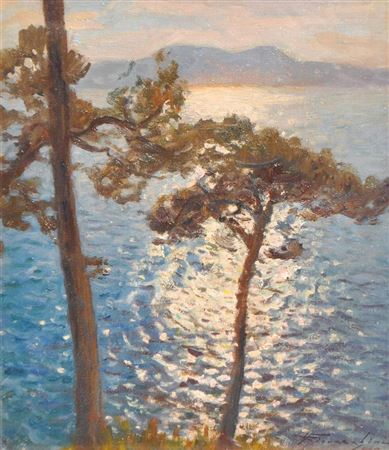 Pine trees by the sea
