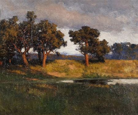 Sunlit Landscape