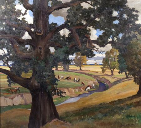 Oak tree with cattle grazing