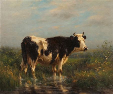 Cow in pasture