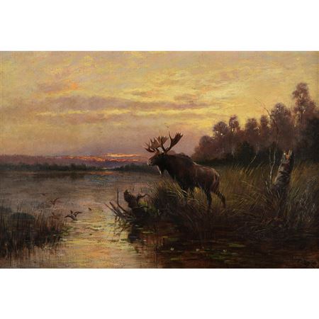 Moose on the Bank