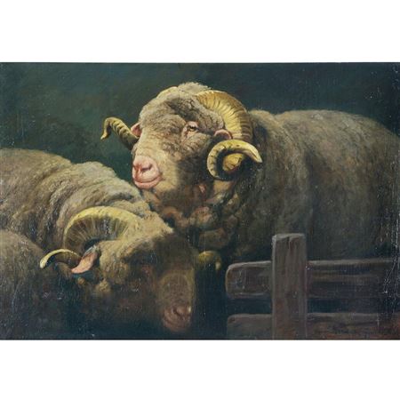 Rams