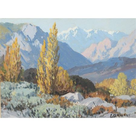 Mountain View Landscape